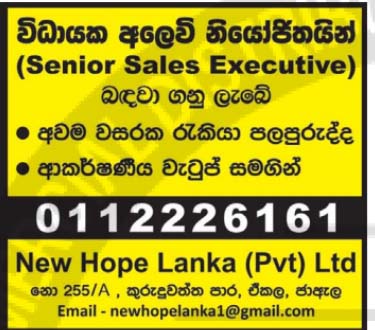 Senior Sales Executive header image