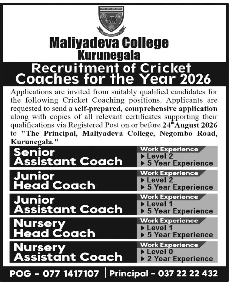 Junior Head Cricket Coach header image