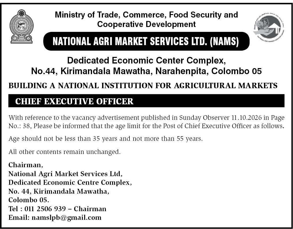 Chief Executive Officer header image